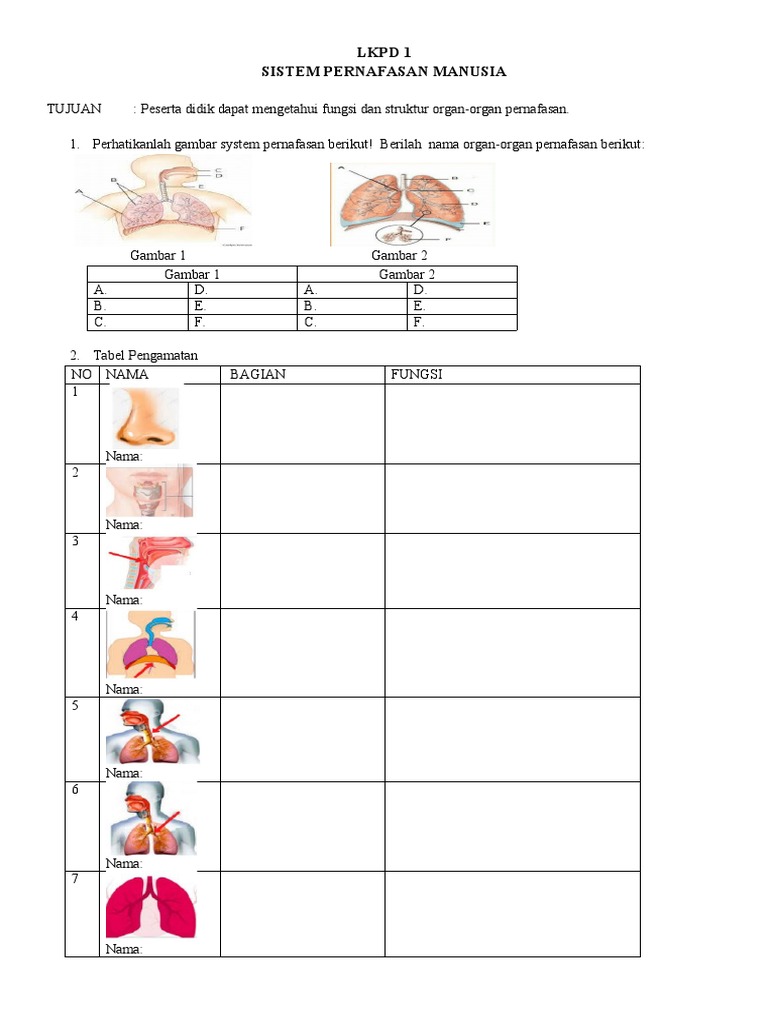 LKPD 1 Sistem Pernapasan PDF