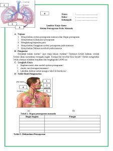 LKPD Sistem Pernapasan PDF