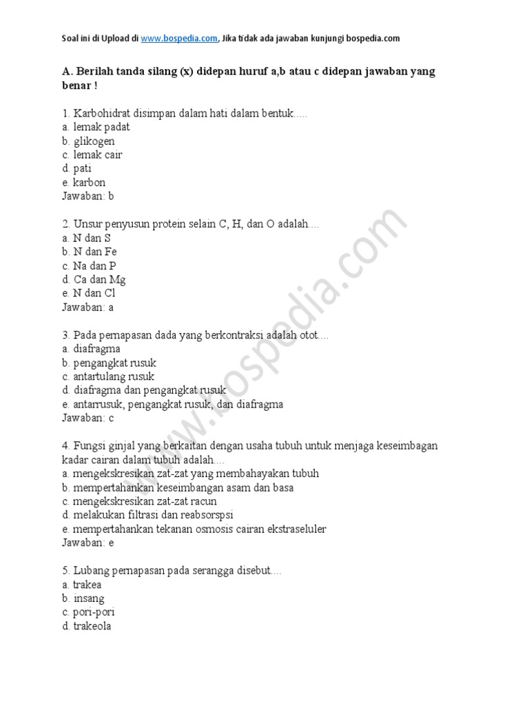 7 Contoh Soal Biologi Kelas XI Semester 2 yang Wajib Kamu Kuasai Sebelum Ujian 7 Contoh Soal Biologi Kelas XI Semester 2 yang Wajib Kamu Kuasai Sebelum Ujian