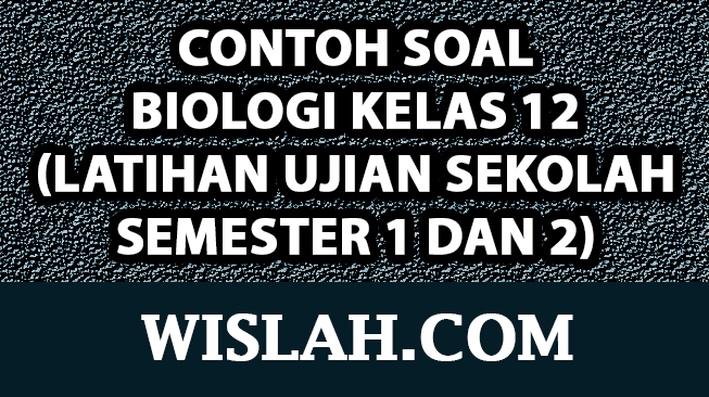 Persiapan Jitu Menghadapi Ujian Panduan Lengkap Mengunduh Soal Biologi Persiapan Jitu Menghadapi Ujian Panduan Lengkap Mengunduh Soal Biologi