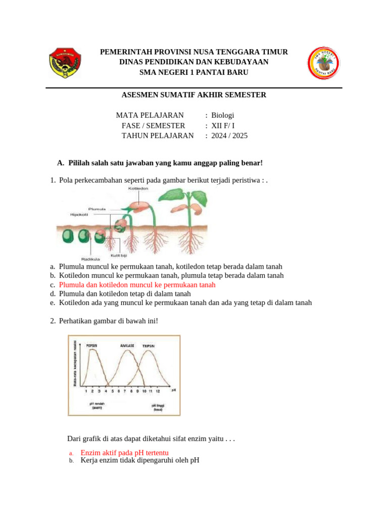 Soal Biologi Kelas XII Semester Genap PDF Soal Biologi Kelas XII Semester Genap PDF