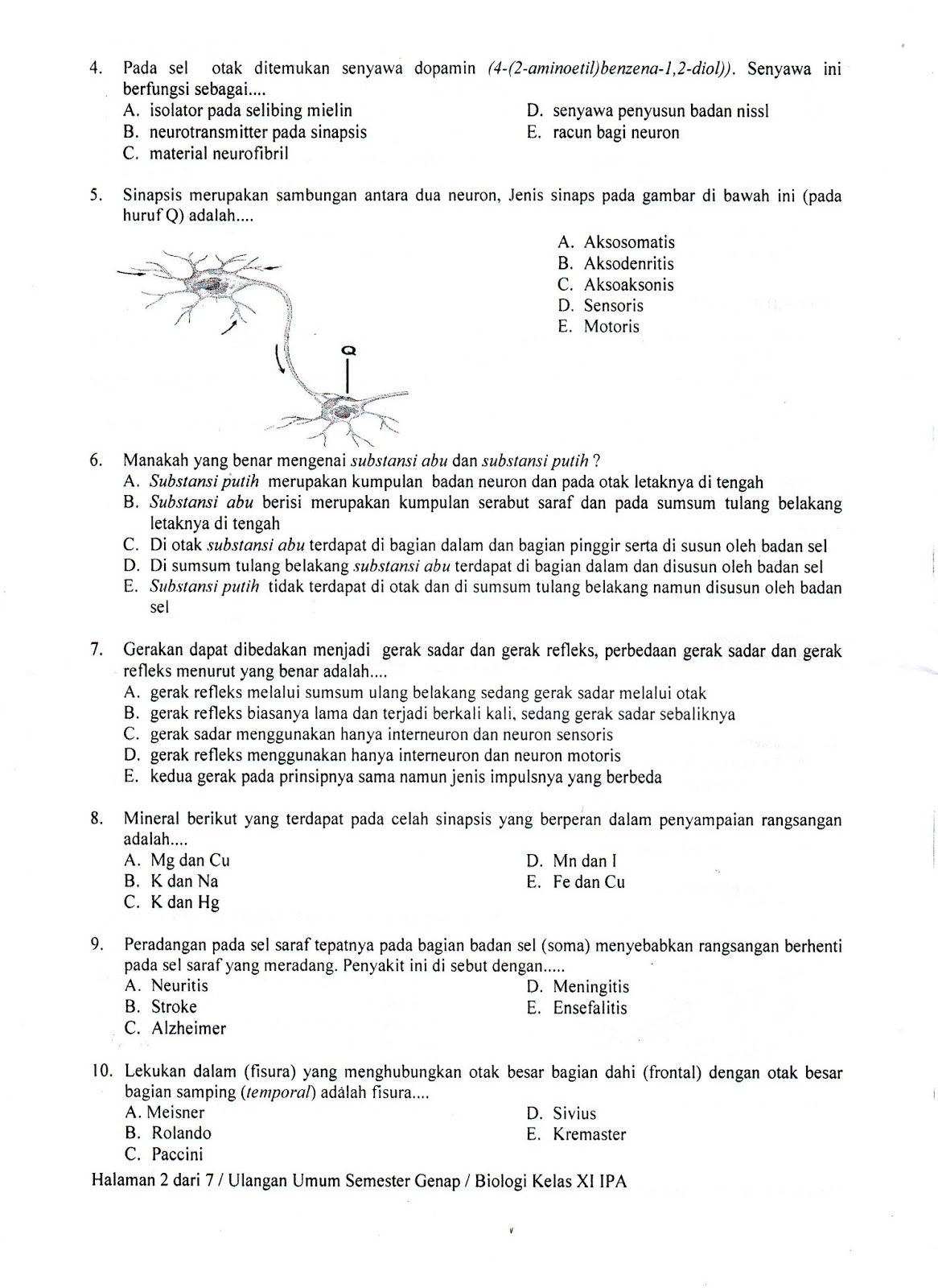 Biologi Kelas 10 Semester 2 - Piffle me Biologi Kelas 10 Semester 2 - Piffle me