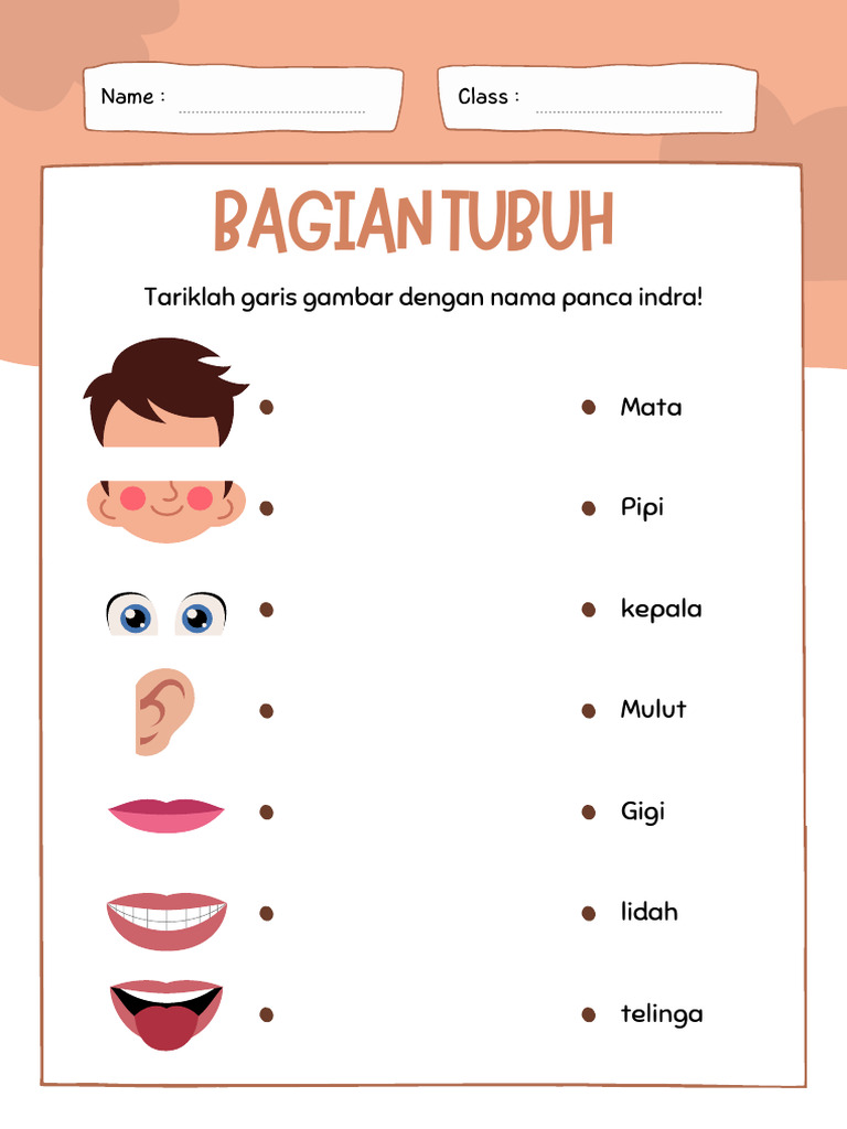 Ternyata Riset Medsos Geser Media Konvensional Soal Anggota Tubuh Kelas 1